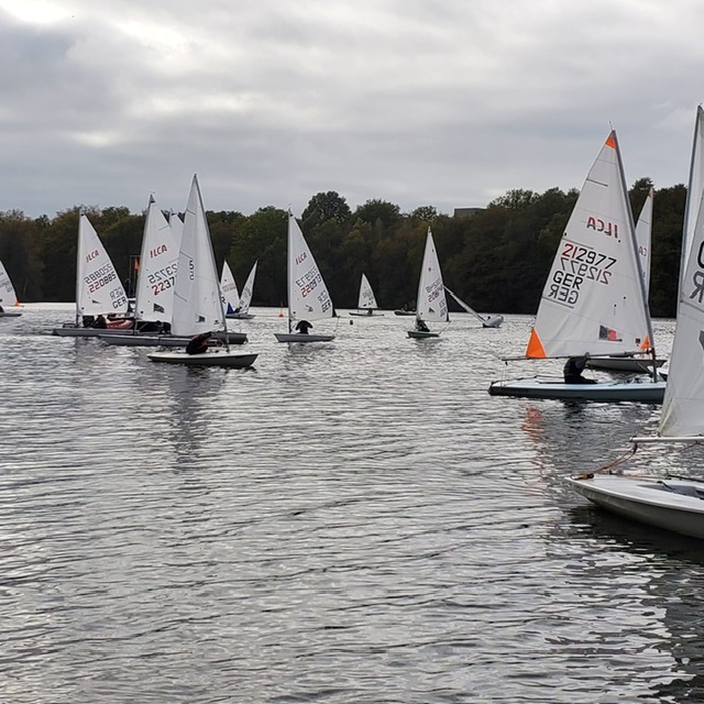 martinsregatta2024-1.jpg