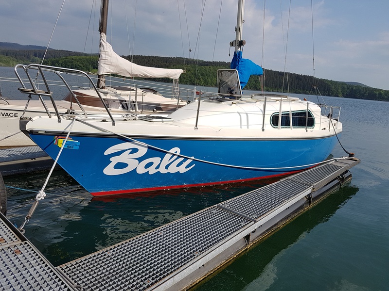 balu1.jpg